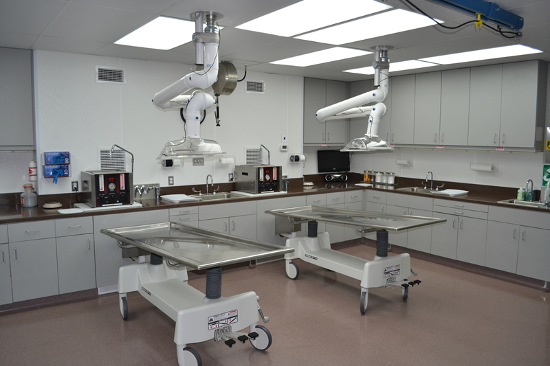 Premier Source Design Plan for Embalming Room